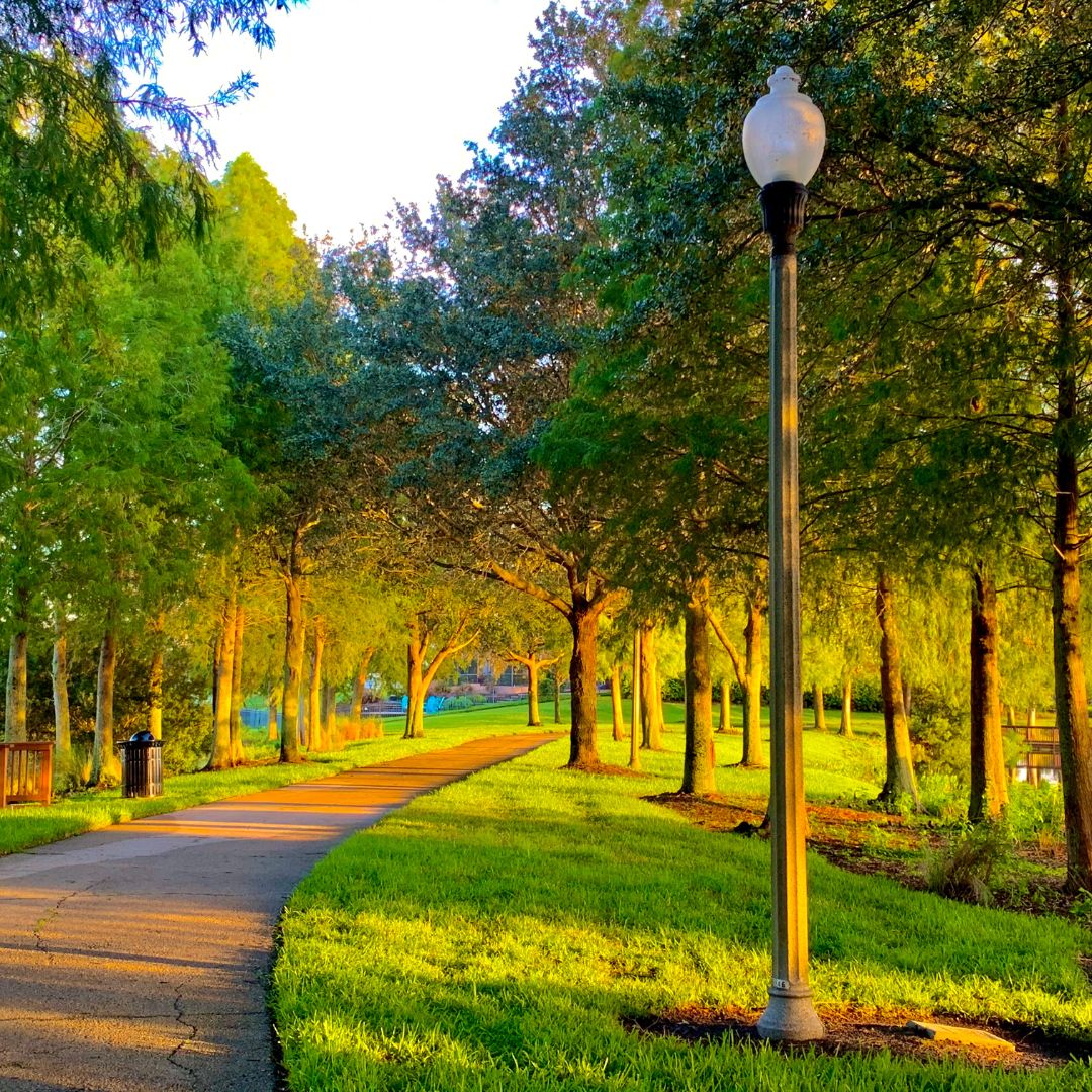 Moving to & Living in Wesley Chapel, FL (The Definitive Guide) Everything You Need to Know About